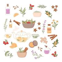 Herbal medicine illustration set. Flat icon with flower spa cartoon for medical design
