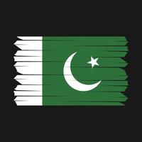 Pakistan Flag Brush vector