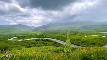 panoramico spazzola torrente paesaggio circondato con Fiore di campo prati vicino crestato butte nel Colorado. video