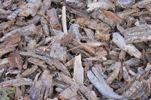 Pile of wood photo