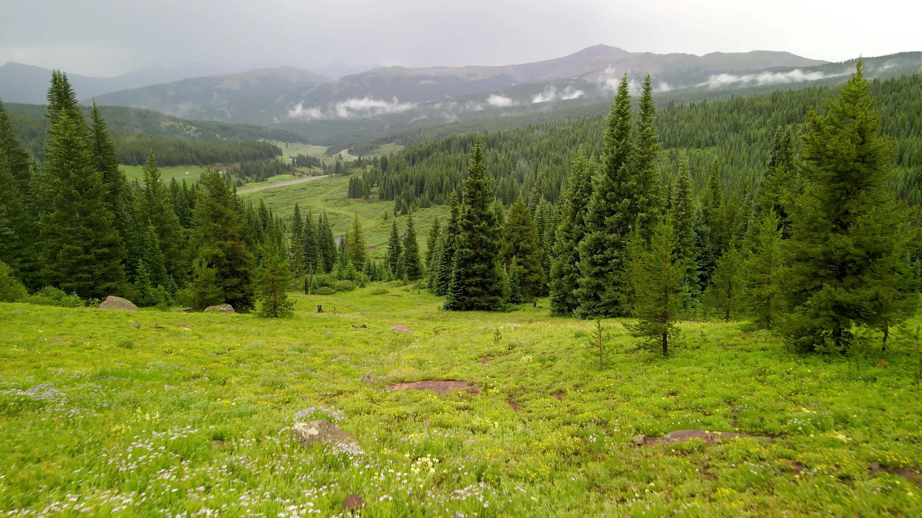 Scenic aerial view of meadows at shrine pass in Colorado rocky