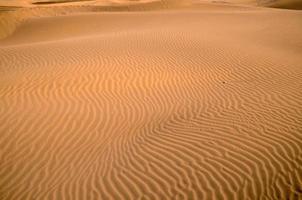 Waves in the sand photo