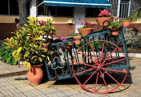 Carriage with planters photo