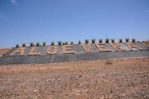 Aloe Vera farm photo