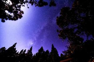 Stars in the night sky photo