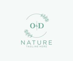 initial OD letters Botanical feminine logo template floral, editable premade monoline logo suitable, Luxury feminine wedding branding, corporate. vector