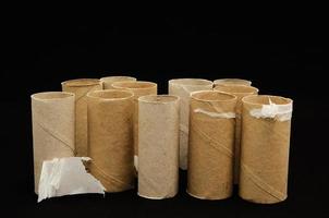 Empty toilet paper rolls photo