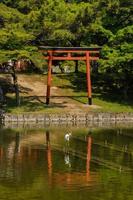 Red Torrii gate photo