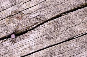 Wooden board texture photo