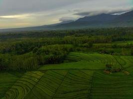 Aerial view of green rice terraces in Indonesia photo