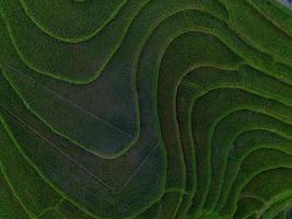 Aerial view of green rice terraces in Indonesia photo