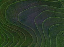 Aerial view of green rice terraces in Indonesia photo