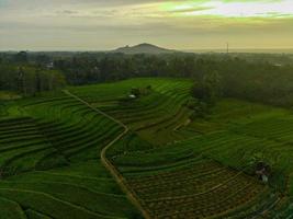 Aerial view of green rice terraces in Indonesia photo