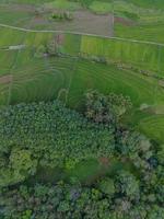 Aerial view of green rice terraces in Indonesia photo