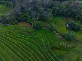 aéreo ver de verde arroz gradas en Indonesia foto