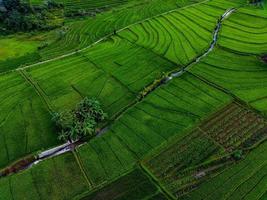 aéreo ver de verde arroz gradas en Indonesia foto