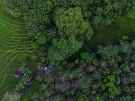 Aerial view of green rice terraces in Indonesia photo