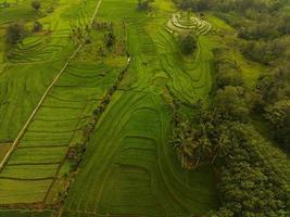 aéreo ver de verde arroz gradas en Indonesia foto