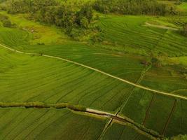 aéreo ver de verde arroz gradas en Indonesia foto