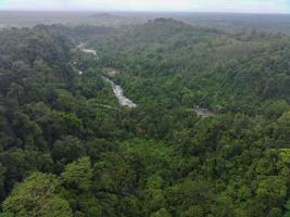 Aerial view of green rice terraces in Indonesia photo