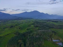 Aerial view of green rice terraces in Indonesia photo