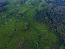 Aerial view of green rice terraces in Indonesia photo