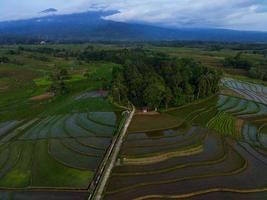 Aerial view of green rice terraces in Indonesia photo