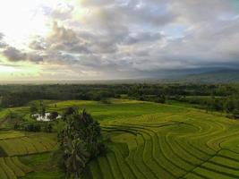 aéreo ver de verde arroz gradas en Indonesia foto