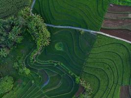 Aerial view of green rice terraces in Indonesia photo