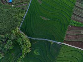 Aerial view of green rice terraces in Indonesia photo