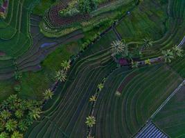 Aerial view of green rice terraces in Indonesia photo