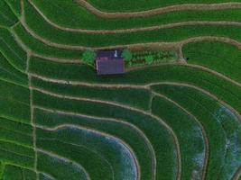 Aerial view of green rice terraces in Indonesia photo