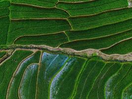 Aerial view of green rice terraces in Indonesia photo