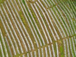 aéreo ver de verde arroz gradas en Indonesia foto