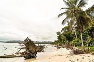 Scenic coastal view photo