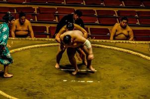 sumo lucha - Japón 2022 foto