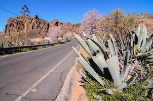 Road through the scenic landscape photo