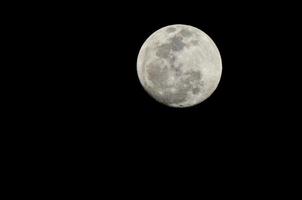 Moon on dark background photo