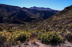 Landscape on Tenerife, Spain photo