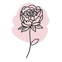 Flower in outline doodle flat style with pastel pink brush. Simple floral element plant decorative design. Hand drawn line art. Creative sketch. Vector illustration isolated on white background.