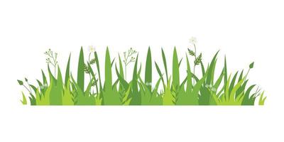 Green grass Illustration. Green lawn, flower, natural borders, herbs. Flat vector illustrations for spring, summer, nature, ground, plants concept.