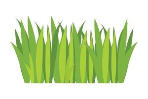 Green grass Illustration. Green lawn, flower, natural borders, herbs. Flat vector illustrations for spring, summer, nature, ground, plants concept.