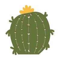 Cactus and succulents, vector illustration in flat style