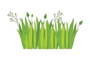 Green grass Illustration. Green lawn, flower, natural borders, herbs. Flat vector illustrations for spring, summer, nature, ground, plants concept.