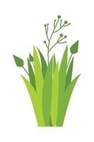 Green grass Illustration. Green lawn, flower, natural borders, herbs. Flat vector illustrations for spring, summer, nature, ground, plants concept.