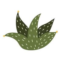 Cactus and succulents, vector illustration in flat style