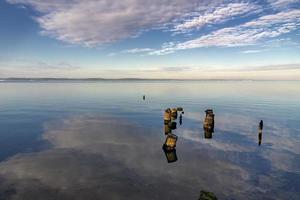 Old timber jetty pillars protruding from the water.  Dead tree stumps In the water photo