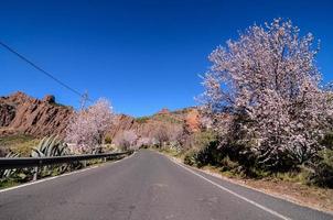 Road through the scenic landscape photo