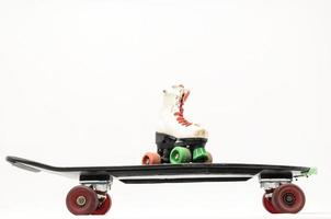 Skates and skateboard photo