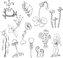 Fantastic monochrome mushrooms and plants in doodling style, contour hand drawing vector